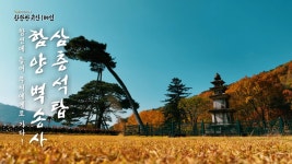 부산경남대표방송 KNN 찬란한 유산 100선 부산경남대표방송 KNN TV