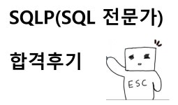 SQL자격증 - velog