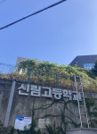 노랭이/ 신림고등학교 [SQLD] 제 50회 SQL 개발자(SQLD) 시험 후기/ 합격 / 합격 후기/ 공부 방법/ 유선배/ 노랭이/ 신림고등학교 