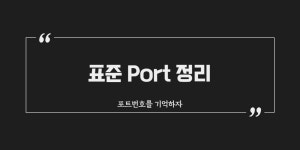 [Udemy] 표준 Port 목록 정리