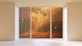 포토샵 기초 (3)