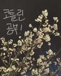 [Kotlin]기초 문법 1