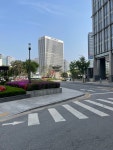 20220424 - 시청, 남산 주변 여기저기...