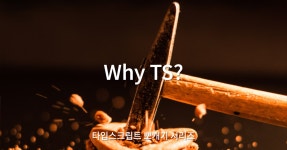[타입스크립트 뽀개기] Why TS?