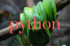 python basic - (13) 기초문제풀이3