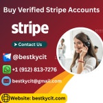 bestpvait6363 (bestpvait) / 작성글 - velog
