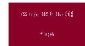 시리즈 | CSS - brgndy