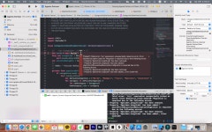 [iOS/Swift] Realm migration 렘 마이그레이션