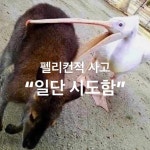 choyeon2e (초2) / 소개 - velog