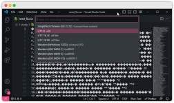 Visual Studio Code 로 파일 인코딩 변경하기