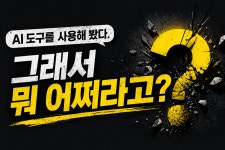 AI 도구를 사용해 봤다. 그래서 뭐 어쩌라고?