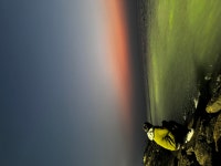 앱만들기 - velog