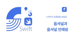 시리즈 | 🦜Swift는 눈보다 빠르다 - SwimmerDev.log