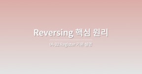 시리즈 | Reversing 핵심 원리 - Cherry🍒