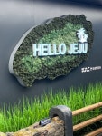 제주도로 떠나서 코딩하자! 구름톤 in Jeju 후기