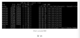 네트워크 관리사