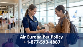 Air Europa pet policy, Air Europa pet travel, Air Europa pet fees, Air Europa pet rules 2026, Air Europa pets in cabin, Air... 