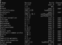 Python 환경 설정 복붙하는 법
