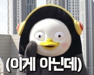 [회고] 스트릭 1년 채우기