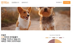 반려in 문제 및 해결