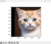 [Python 데이터 분석과 이미지 처리] OpenCV 이미지 변형