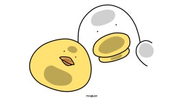 itssun (Itssun) / 소개 - velog