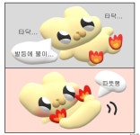 [C언어] 발등에 불 떨어져 발이 녹아내린 자의 기초 정리