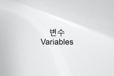 [js] 변수