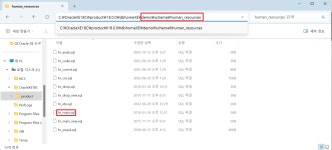 Oracle 실행 ( Database, SQL Developer 설치 ) Oracle 실행 ( Database, SQL Developer 설치 ) 