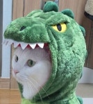 트레이딩봇 - velog