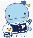 부경대학교 - velog