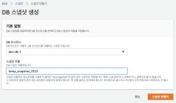 AWS rds 스냅샵으로 DB 복원 하기