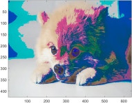 [MATLAB] 이미지 다루기