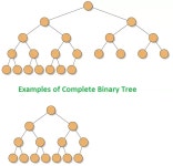 트리 (Tree)