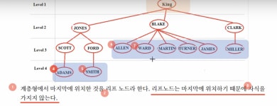 [SQLD] WINDOW 함수, 그룹 함수, 계층형 질의