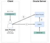 [Oracle] Network와 Oracle Net Service
