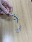 utp 케이블 연결