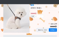 장바구니 상품 주문하기