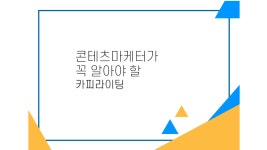 니콜루이스카피라이팅 | 카피라이팅 - velog