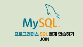 [프로그래머스] SQL 정리 - JOIN