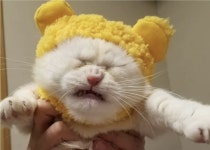 빈이 머야.. 무서어..