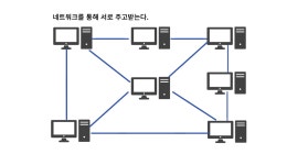 네트워크 구조 네트워크 구조 