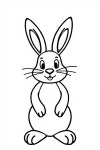 [디자인부트캠프]Day6 | Adobe Illustrator 2