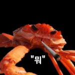 알고리즘