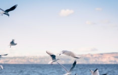 시리즈 | [이스트소프트 오르미 3기] 백엔드개발자 부트캠프 - Maximize Your Potential