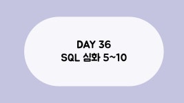 제로베이스 데이터취업스쿨 DAY36 SQL심화5~10