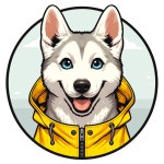 나도코딩 - velog