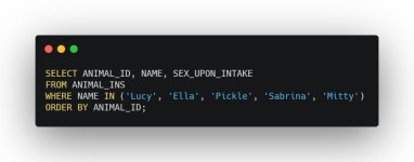 [MySQL] 프로그래머스 String, Date