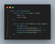 [JAVA]Primitive 타입과 Reference 타입