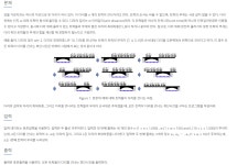 트럭 13335